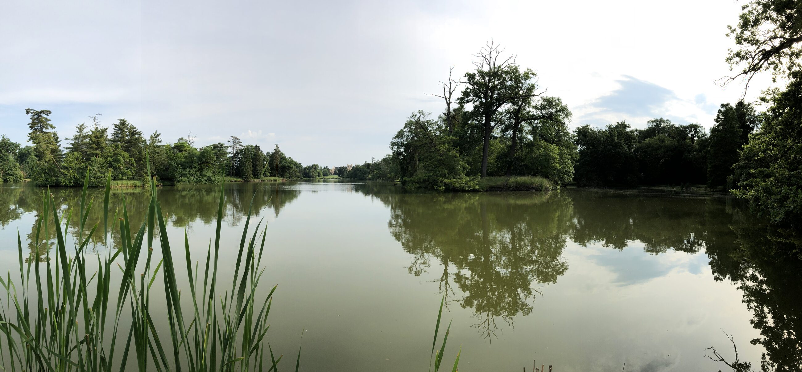 Panoramic green lake lined with trees