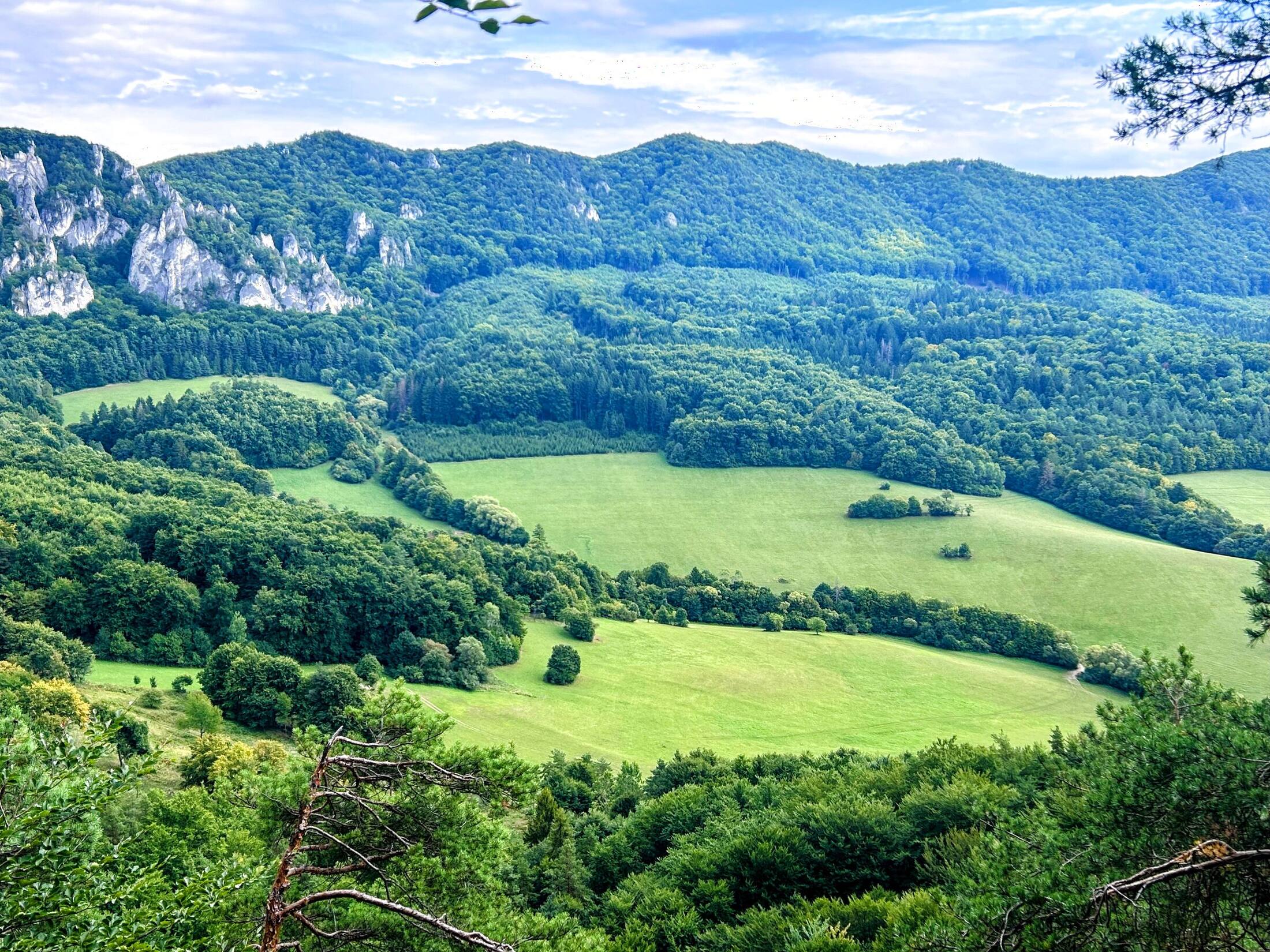 Green Central European valley with forested limestone hills