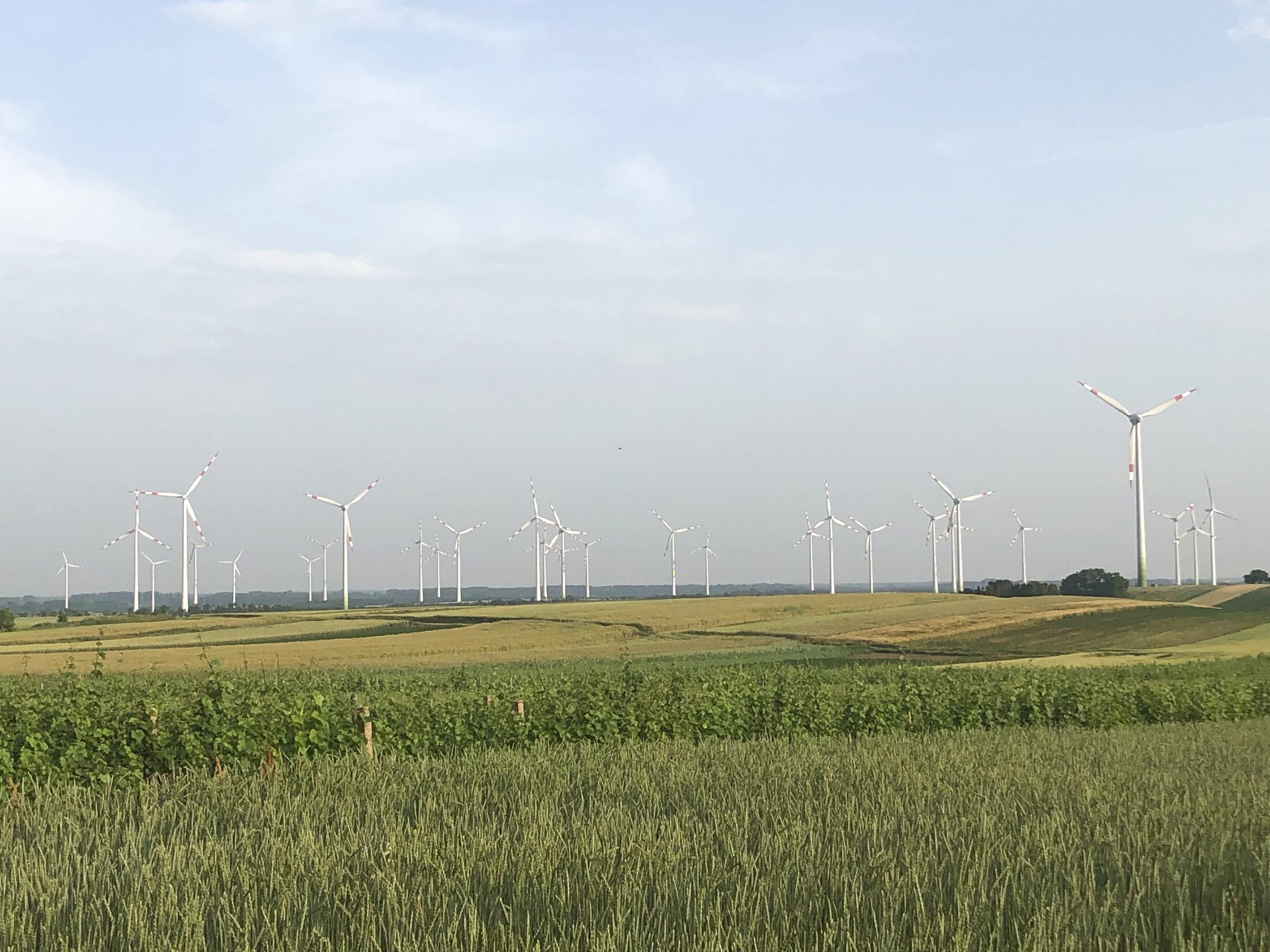 Wind farm across green fields