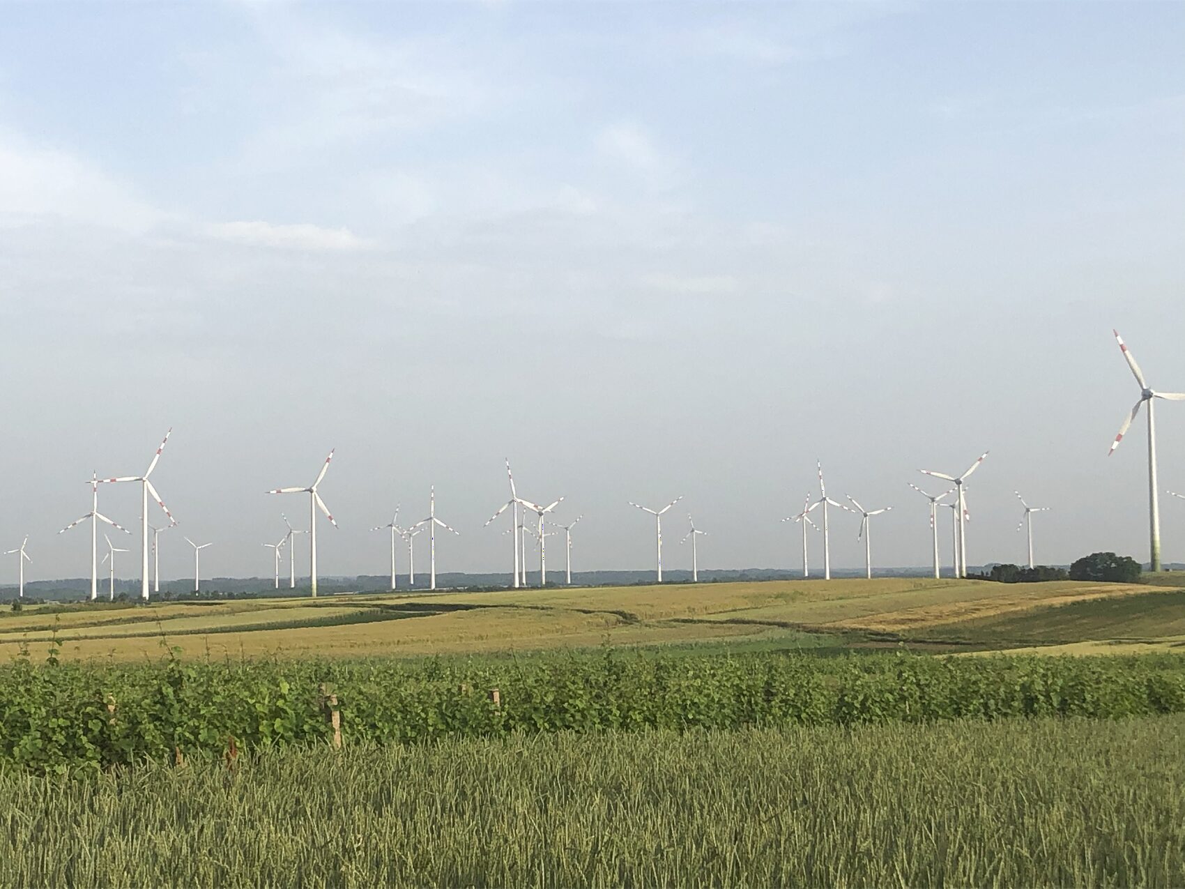 Wind turbines across green farmland